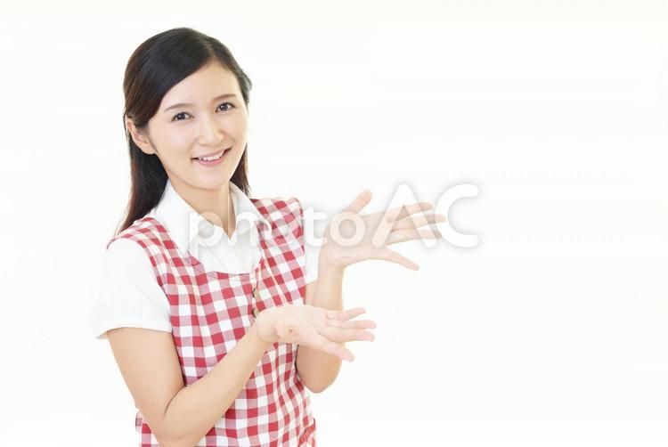 エプロン姿の女性　案内 女性,人物,案内の写真素材