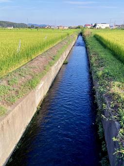 用水路 用水路,農業用水,用水の写真素材