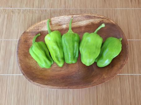 採れたてピーマン_1 採れたてピーマン_1 夏野菜,野菜,ピーマンの写真素材