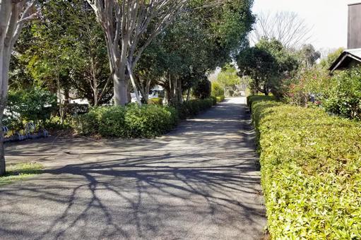 長廊(小松島市公園), JPG 長廊(小松島市公園), walk, ที่เดิน, การเขย่าเบา ๆ, JPG