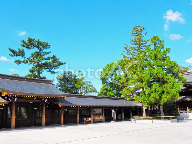 風景　日本の伝統的な景観と青空 空,文化,風景の写真素材