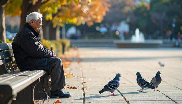 公園のベンチに座って鳩を眺める老人 公園のベンチに座って鳩を眺める老人の写真