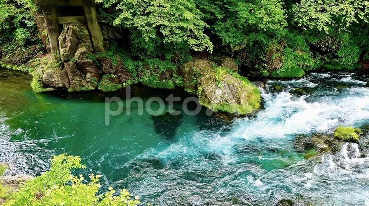 栃木県日光市の日光東照宮の前にある大谷川 大谷川,川,栃木の写真素材