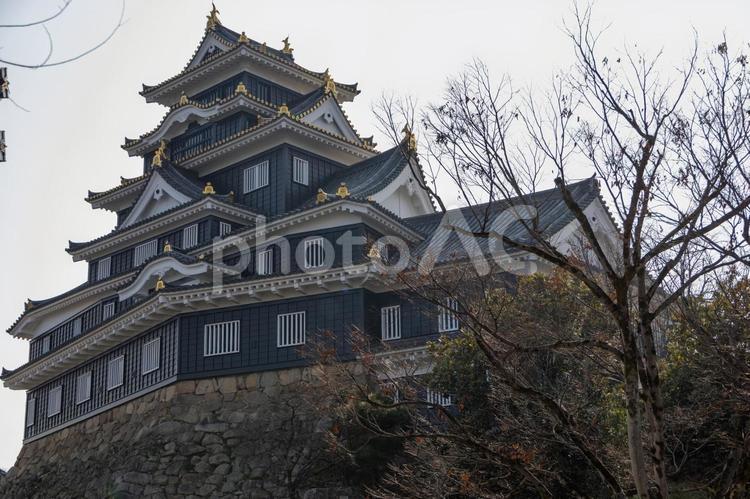 岡山旭川付近から見上げる岡山城 岡山城,烏城,旭川の写真素材