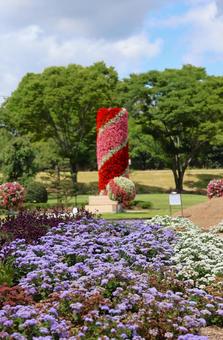 7月中旬のさぬきフラワーガーデンの花 7月中旬のさぬきフラワーガーデンの花の写真