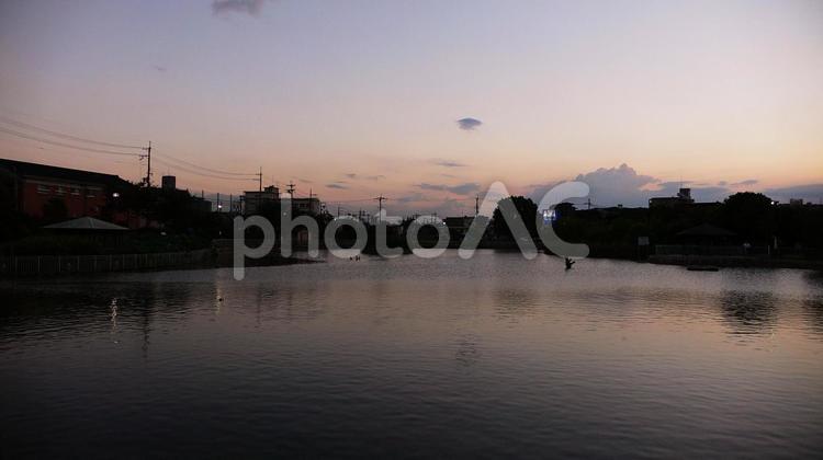 池のある公園の夕景 夕景,夕闇,池の写真素材