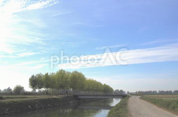 北イタリアの平野地帯を流れる用水路 用水路,イタリア,イタリアの農家の写真素材
