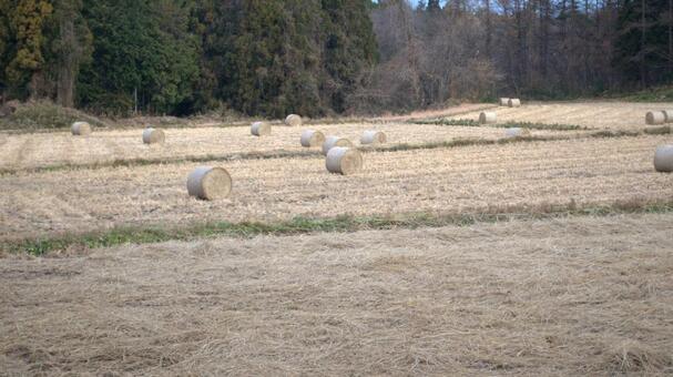 牧草ロールのある風景 牧草,ロール,自然の写真素材
