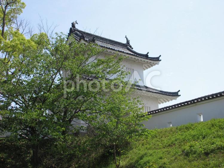 兵庫県-赤穂城跡-三之丸大手隅櫓 赤穂城跡,城,国指定史跡の写真素材