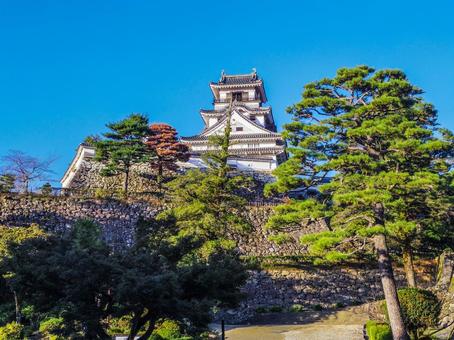 【高知県】高知市・高知城 高知城,高知公園,天守閣の写真素材