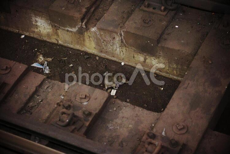 NYメトロのネズミ ニューヨーク,地下鉄,ネズミの写真素材