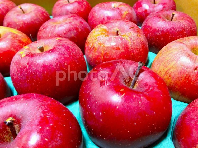 たくさんの林檎 リンゴ,林檎,りんごの写真素材