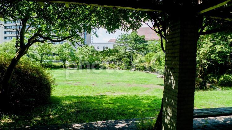 公園 エコ,ナチュラル,休息の写真素材