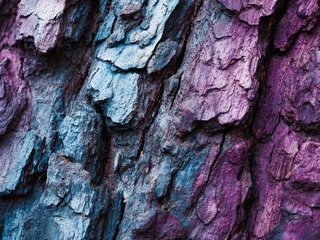 美しいグラデーションの樹皮の背景 美しいグラデーションの樹皮の背景の写真