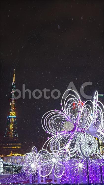札幌時計台とイルミネーション イルミネーション,ホワイトイルミネーション,ライトアップの写真素材