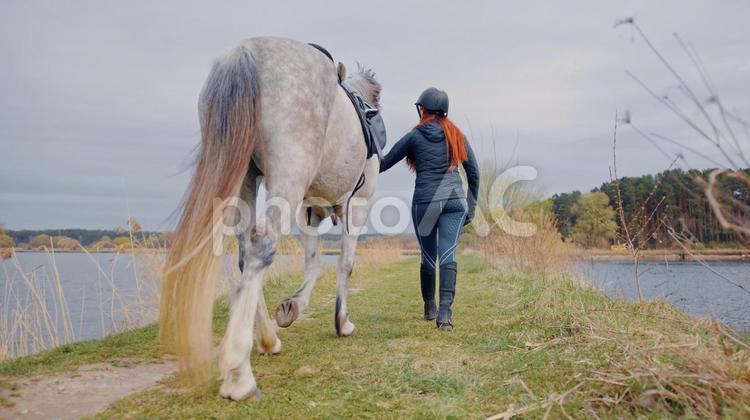 散歩から帰ろうとしている騎手と馬の後ろ姿 馬,全身,白の写真素材