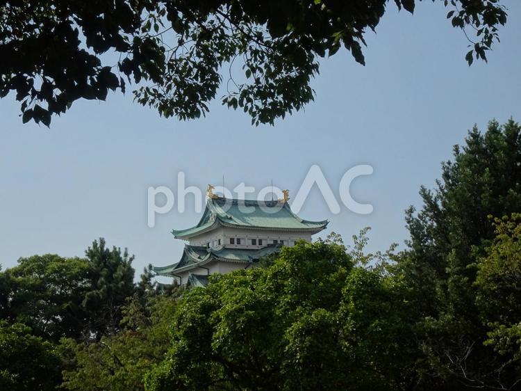 名古屋城の風景-43 名古屋城,愛知県名古屋市,天守閣の写真素材