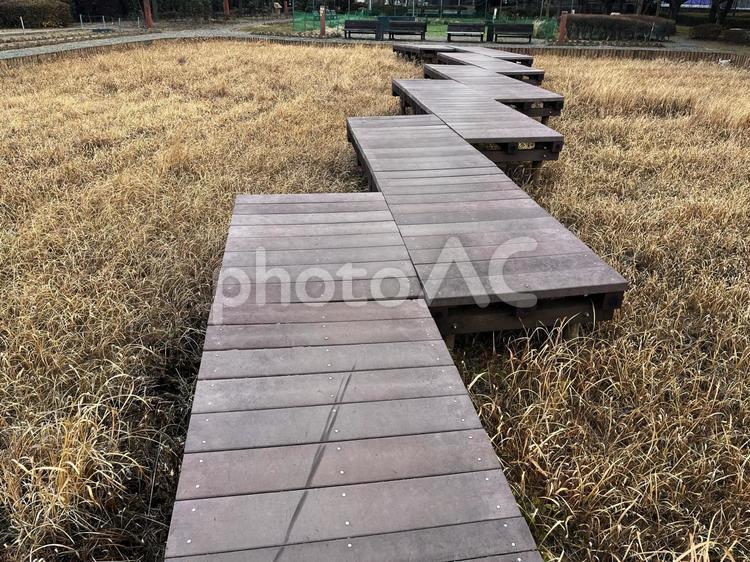公園の渡り板 公園,池,森の写真素材