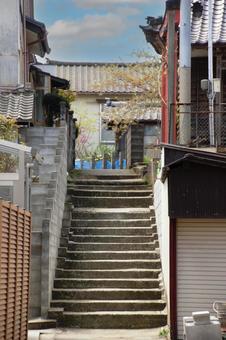 神社に向かう階段 神社に向かう階段の写真