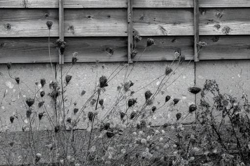 古い建物の軒下に宿る静かなる風景 江差町,古民家,軒先の写真素材