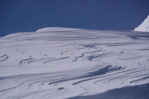 シュカブラ２の写真