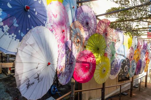 仙台八坂神社(37) 神社,仙台八坂神社,晩秋の写真素材