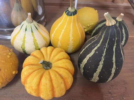 色々なかぼちゃ 色々なかぼちゃ かぼちゃ,ハロウィン,カボチャの写真素材
