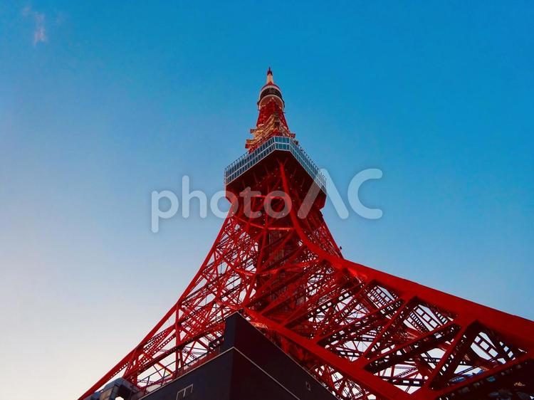 下から見上げる東京タワーとブルースカイ 青空,空,ブルースカイの写真素材