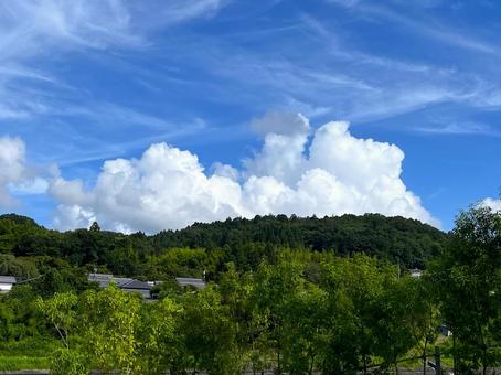 夏の風景 夏の風景の写真