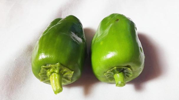 小さめピーマン・2 ピーマン,野菜,食材の写真素材