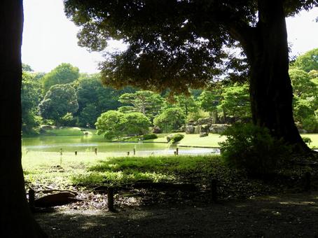 木陰から除く特別名勝六義園 木陰から除く特別名勝六義園 六義園,庭園,大名庭園の写真素材