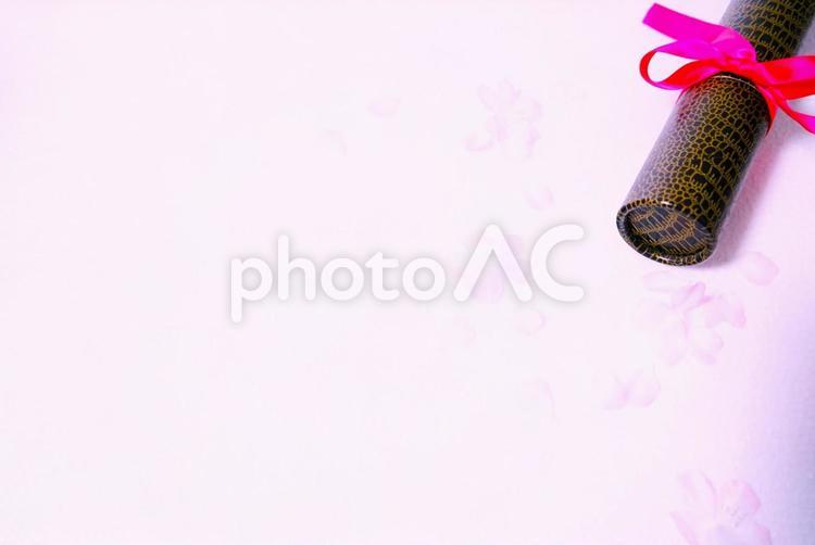 卒業証書の筒と花びら 桜,卒業証書,筒の写真素材