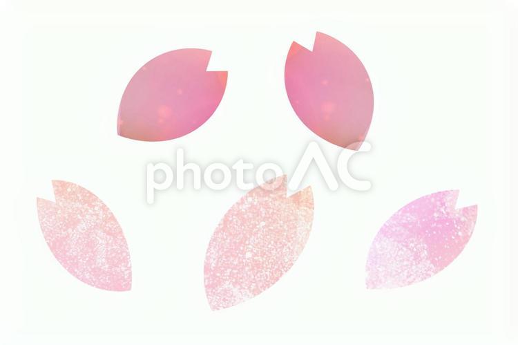 桜の花びら　切り抜き　透過psd 桜,花びら,psdの写真素材