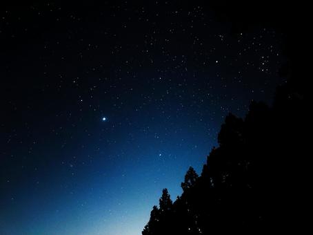 森と夜空 夜空,星空,星の写真素材