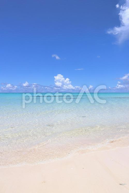 浅瀬の海の波打ち際 浅瀬,波打ち際,砂浜の写真素材
