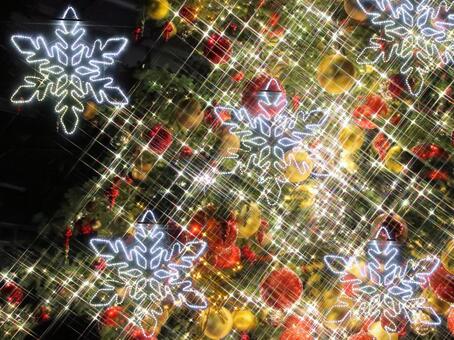 はままつフラワーパーク　イルミネーション イルミネーション,クリスマス,夜景の写真素材