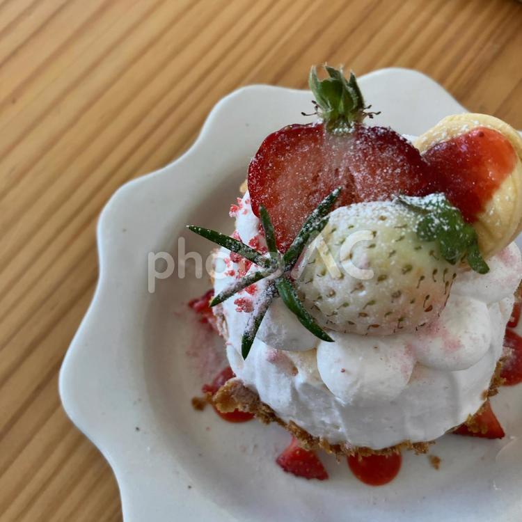 白と赤の苺ー生クリームケーキ 苺,白い苺,ケーキの写真素材