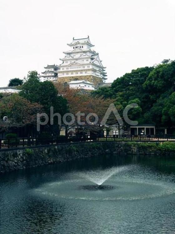 姫路城 姫路城,お城,姫路の写真素材