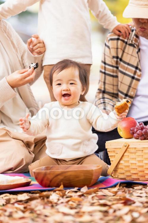 秋の公園で遊ぶ家族・赤ちゃん 赤ちゃん,家族,ピクニックの写真素材