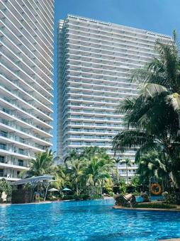 青空とヤシの木に囲まれた海外リゾート 海外,リゾート,プールの写真素材