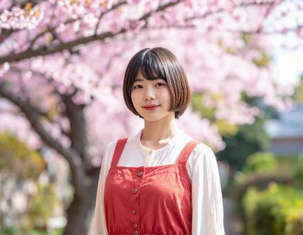 春・桜と、深紅の彼女のポートレート 春・桜と、深紅の彼女のポートレートの写真