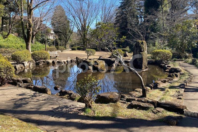 水のある風景2 水のある風景,池,庭の写真素材