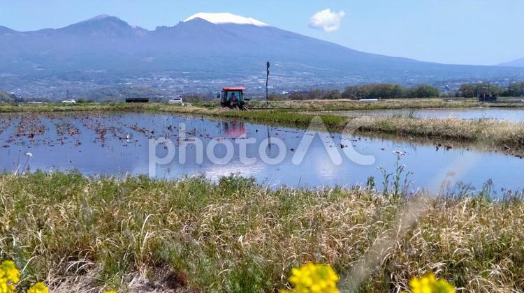 5月・雪をかぶる浅間山とトラクター 浅間山,雪,水田の写真素材
