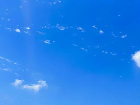 夏空 夏空の写真