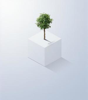 立方体にたたずむ1本の木 立方体にたたずむ1本の木 木,植物,1本の写真素材
