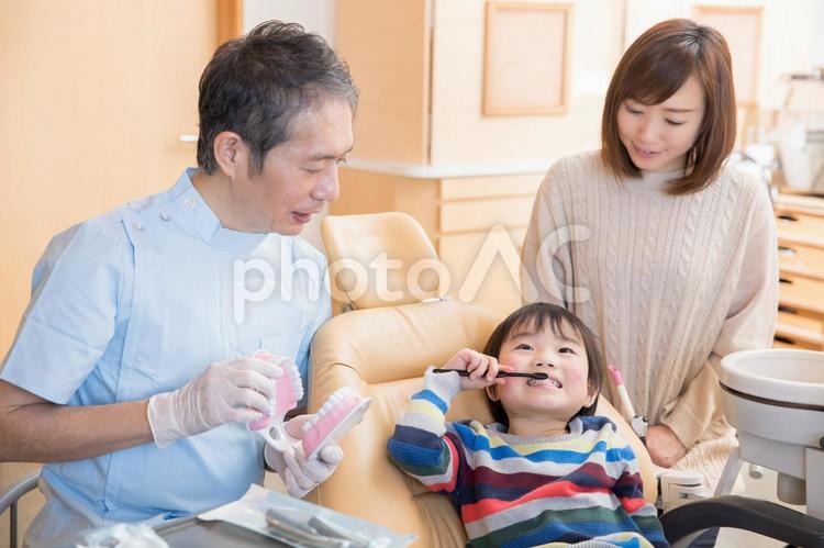 歯磨き指導を受ける子供 歯磨き指導,虫歯予防,歯磨きの写真素材