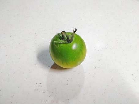 Photo, mini tomato, morning pick, lycopene, 