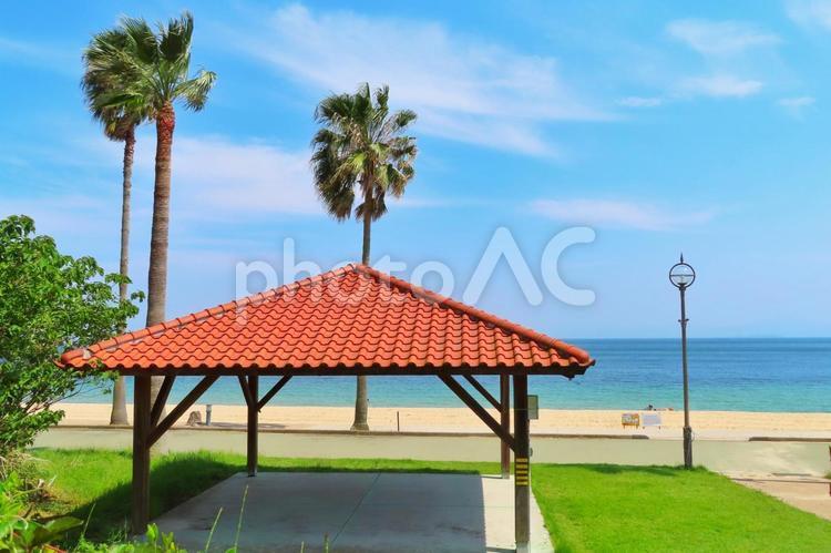 ヤシの木とビーチと海 風景,自然,海の写真素材