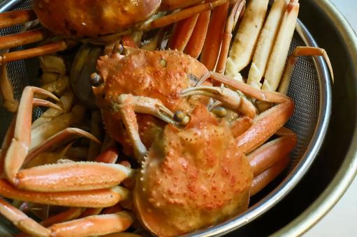 カニ カニ,生き物,室内の写真素材