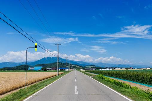 青空と一本道 青空と一本道 青空と一本道,道,直線の写真素材
